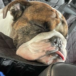 Meet your Posher, Denise